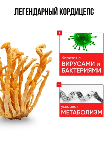 Лемон_5.webp