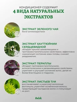 6.webp